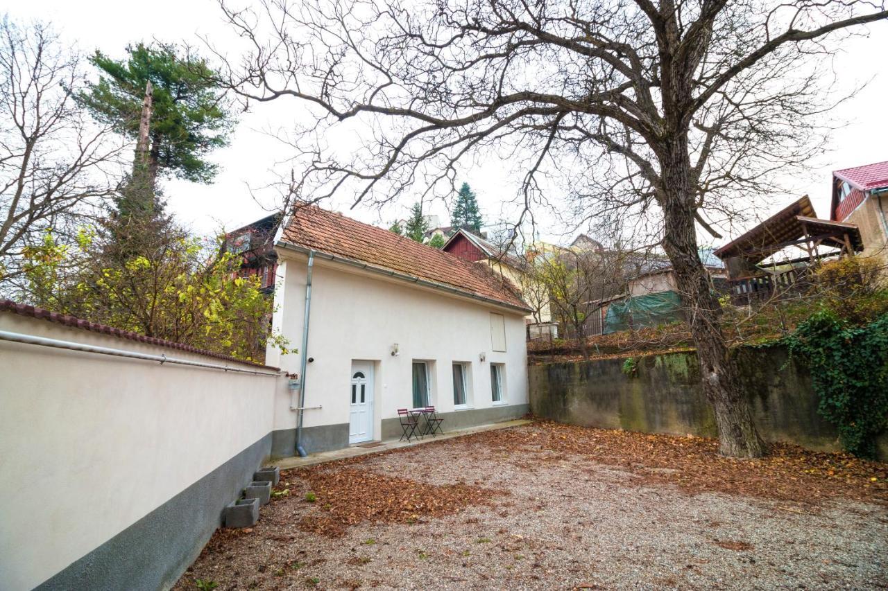 Crisan Residence - Vila Crisan Брашов Екстериор снимка